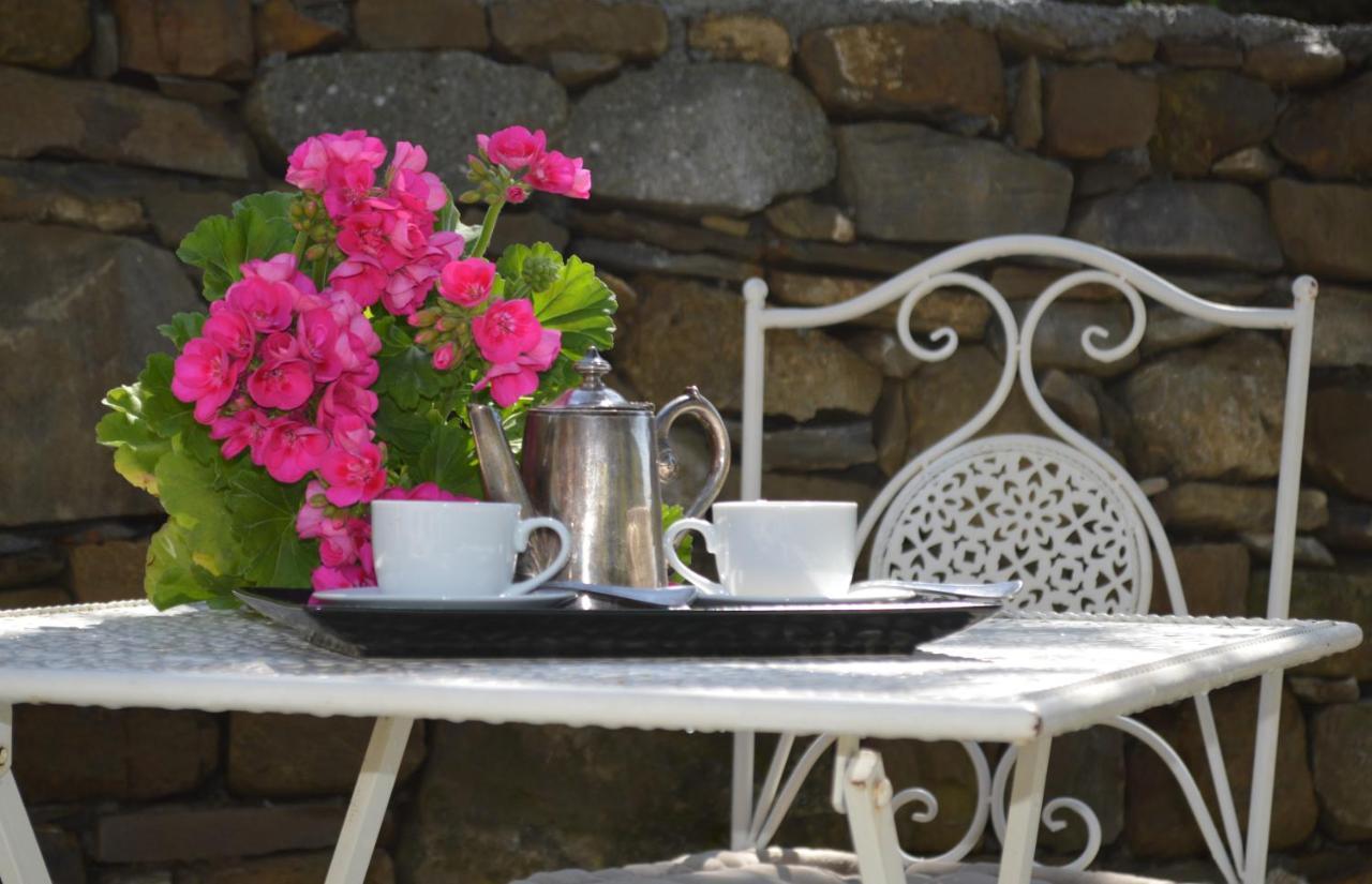 Agriturismo Dalla Mimmi Dolceacqua Extérieur photo
